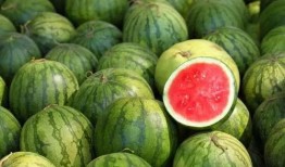 外国舞台吃瓜,一场别开生面的外国舞台盛宴