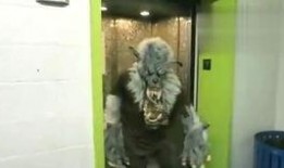 带你吃瓜超级搞笑视频,笑料横生！带你领略“带你吃瓜”搞笑视频的魅力