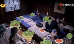 睡衣吃瓜视频,揭秘娱乐圈幕后故事