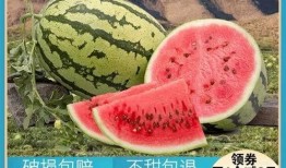 明也吃瓜版,揭秘娱乐圈幕后真相，带你领略明星的另一面