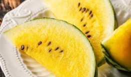 在哪可以看到吃瓜,吃瓜群众的“瓜源”大搜索