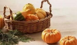 拍拍瓜怎么吃,轻松解锁美味新体验