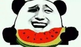 吃瓜群众营业员,揭秘幕后故事与职场智慧