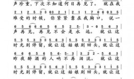 瓜哥吃瓜奇葩歌词完整版,揭秘网络热词背后的奇闻轶事