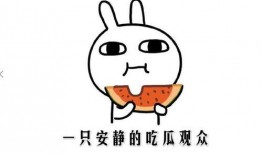 吃瓜的其他说法,揭秘“吃瓜群众”背后的网络文化现象