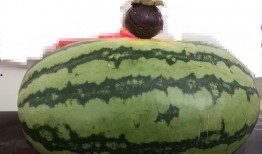 吃瓜相同的意思,那些让人“吃瓜”的幕后故事