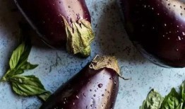 孕妇梦见摘茄瓜吃,孕妇摘茄瓜吃的寓意与启示