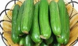 吃瓜要带花,品味生活百态