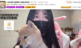 吃瓜团团会,揭秘娱乐圈幕后故事