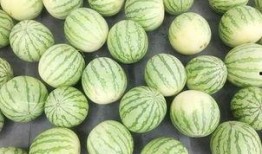 吃瓜网真的吗,真相还是谣言？