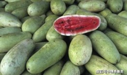 怀孕可以吃土瓜嘛,土瓜在孕期是否适宜食用