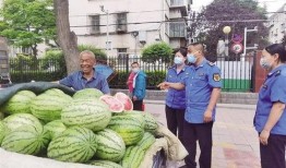 兰州兰山吃瓜,兰州兰山吃瓜，尽享清凉时光