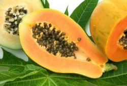 孕妇梦到吃土瓜,土瓜预示着什么？