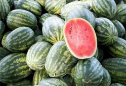 拍拍瓜怎么吃,轻松解锁美味新体验