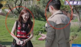 金晨吃瓜群众,揭秘娱乐圈背后的真相与八卦