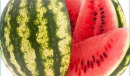 每日吃瓜首页,盘点娱乐圈最新热点，揭秘幕后故事