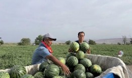 观花吃瓜,探寻春日里的美食与美景
