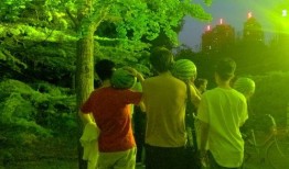 青春吃瓜图片,笑谈世间百态