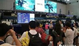 柜台吃瓜,揭秘日常生活中的小确幸