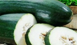 秋天吃哪些瓜,秋季必尝的瓜类美食推荐