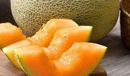为什么吃哈密瓜容易上火,揭秘夏日消暑果实的双重效应
