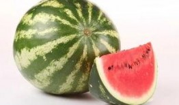 吃瓜能量守恒,揭秘瓜界能量流转之谜