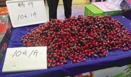 兰州兰山吃瓜,兰州兰山吃瓜，尽享清凉时光