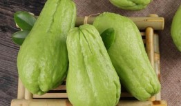 佛手瓜可以吃吗怎么吃,佛手瓜的食用方法与美味佳肴