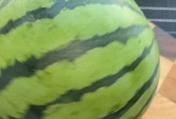 吃瓜没籽作者,一部轻松幽默的美食小说