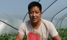 杨宇吃瓜,揭秘娱乐圈幕后故事