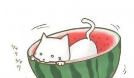 吃瓜阿肥,揭秘娱乐圈那些不为人知的幕后故事