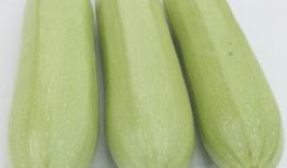 孕妇吃白瓜不,白瓜助力健康孕育